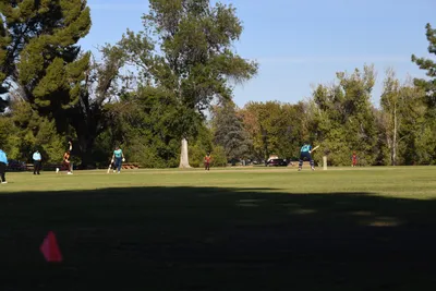 DSC_2322 (Large).JPG